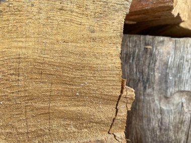 Tahta yığınları, kalaslar. Ahşap odun yığını. seçici odak, metin için alan 