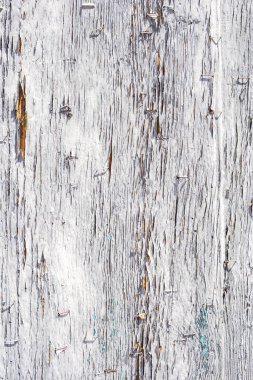 Doğal desenli beyaz ahşap doku