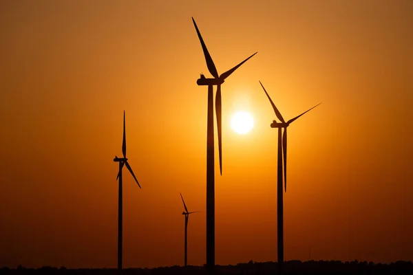 Silhouetten Van Windturbines Tegen Ondergaande Zon — Stockfoto