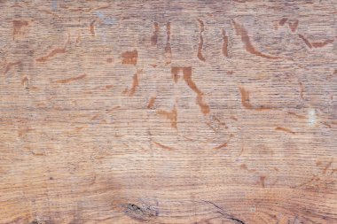 Doğal desenli eski ahşap doku..