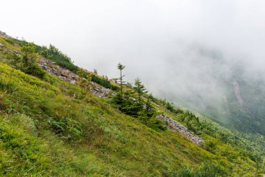Güzel yaz dağ manzara bulutlar ile.