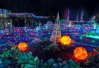 11 Ocak 2014, Lakeside, Virginia, ABD, Lewis Ginter Botanik Bahçesi, Bahçe Işıkları Festivali, Gece Vakti, Noel Tatili