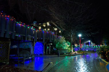 11 Ocak 2014, Lakeside, Virginia, ABD, Lewis Ginter Botanik Bahçesi, Bahçe Işıkları Festivali, Gece Vakti, Noel Tatili