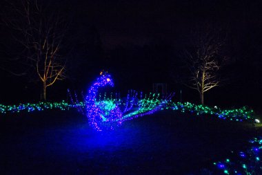 11 Ocak 2014, Lakeside, Virginia, ABD, Lewis Ginter Botanik Bahçesi, Bahçe Işıkları Festivali, Gece Vakti, Noel Tatili