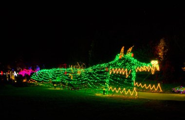 08 DEC, 2025, Lakeside Virginia, Lewis Ginter Botanik Bahçesi, Lewis Ginter Işıklar Bahçe Festivali, Noel Tatili Sezonu, Gece Vakti