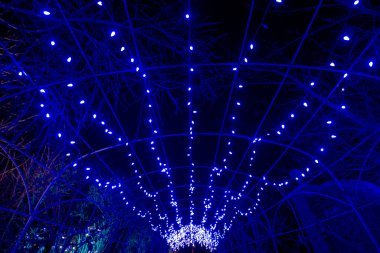 08 DEC, 2025, Lakeside Virginia, Lewis Ginter Botanik Bahçesi, Lewis Ginter Işıklar Bahçe Festivali, Noel Tatili Sezonu, Gece Vakti