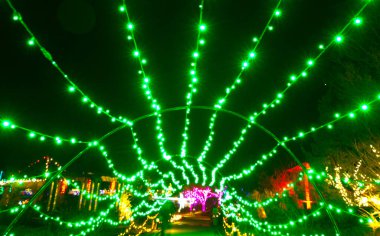 08 DEC, 2025, Lakeside Virginia, Lewis Ginter Botanik Bahçesi, Lewis Ginter Işıklar Bahçe Festivali, Noel Tatili Sezonu, Gece Vakti