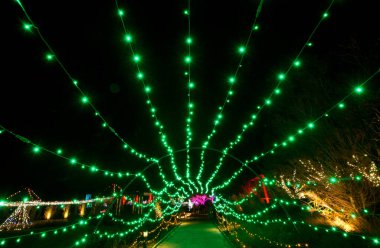 08 DEC, 2025, Lakeside Virginia, Lewis Ginter Botanik Bahçesi, Lewis Ginter Işıklar Bahçe Festivali, Noel Tatili Sezonu, Gece Vakti