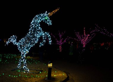 08 DEC, 2025, Lakeside Virginia, Lewis Ginter Botanik Bahçesi, Lewis Ginter Işıklar Bahçe Festivali, Noel Tatili Sezonu, Gece Vakti