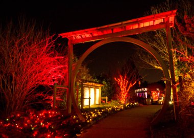 08 DEC, 2025, Lakeside Virginia, Lewis Ginter Botanik Bahçesi, Lewis Ginter Işıklar Bahçe Festivali, Noel Tatili Sezonu, Gece Vakti
