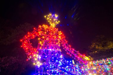 08 DEC, 2025, Lakeside Virginia, Lewis Ginter Botanik Bahçesi, Lewis Ginter Işıklar Bahçe Festivali, Noel Tatili Sezonu, Gece Vakti