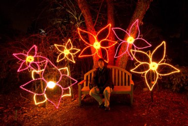08 DEC, 2025, Lakeside Virginia, Lewis Ginter Botanik Bahçesi, Lewis Ginter Işıklar Bahçe Festivali, Noel Tatili Sezonu, Gece Vakti