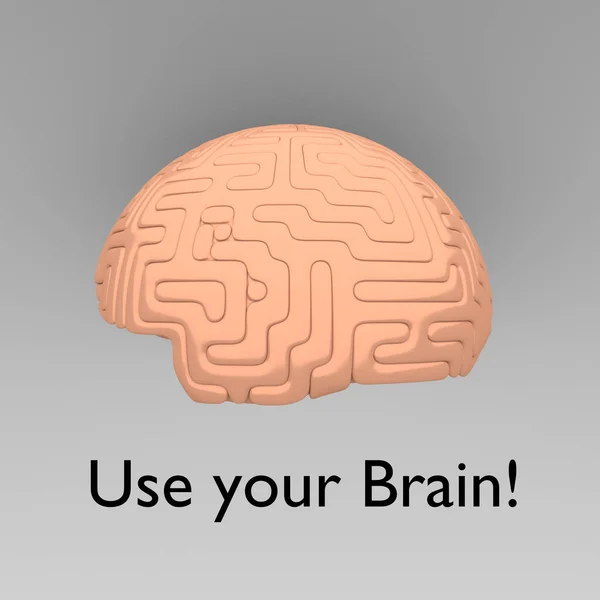Ilustração Cérebro Com Script Use Seu Cérebro Sobre Fundo Cinza — Fotografia de Stock