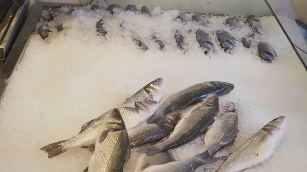 Placing fresh raw fish into ice display for sale