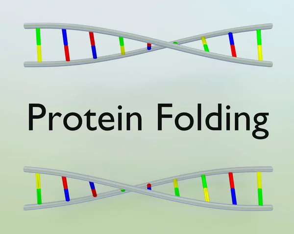 タンパク質の3Dイラスト2つのDna二重らせんの間の折り畳みスクリプト — ストック写真