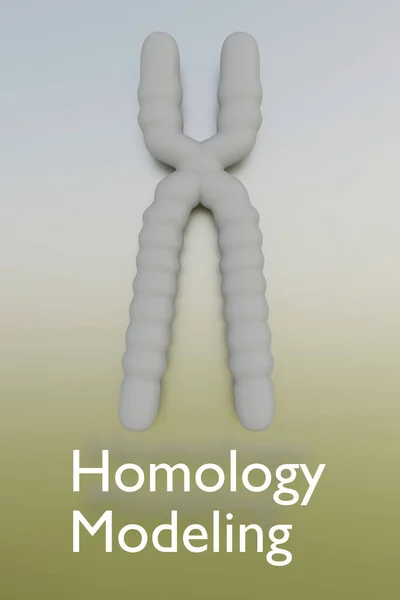 相同性モデリングスクリプトを用いた染色体の3Dイラスト — ストック写真