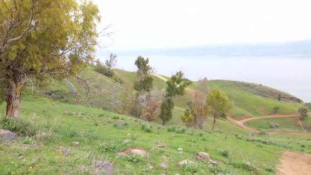 Mar Galilea Pan Disparado Durante Primavera — Vídeos de Stock