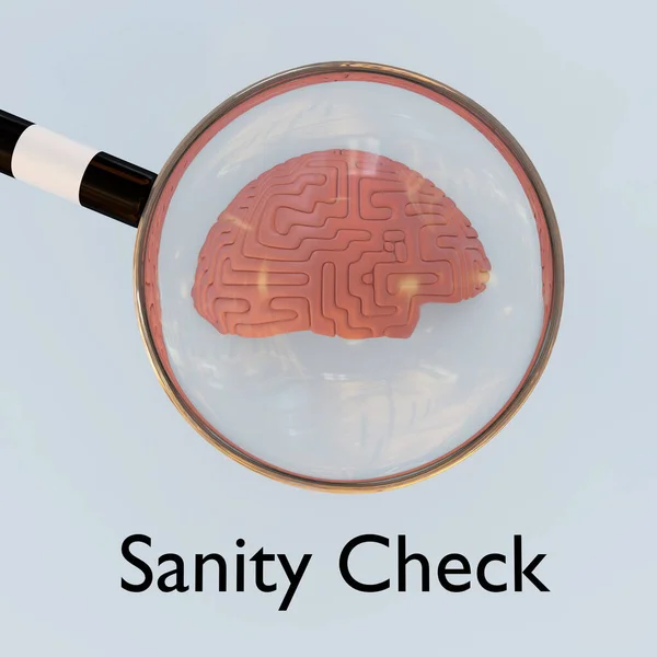 Ілюстрація Символічного Збільшувального Скла Над Людським Мозком Названого Sanity Check Ліцензійні Стокові Фото