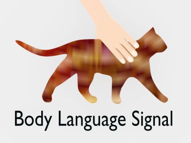 Soluk gri ve başlıklı Vücut Dili Sinyali 'nde bir kediyi okşayan üç boyutlu bir insan eli..