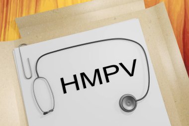 HMPV başlıklı bir tıbbi belgenin 3B illüstrasyonu.