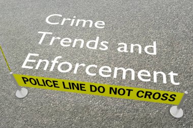 Suç Eğilimleri ve Uygulamanın Üç Boyutlu Görünümü Polis Arenasında