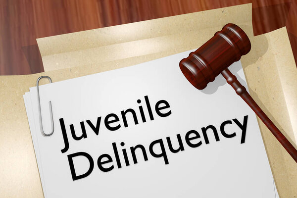 Juvenile Delinquency title on a legal document