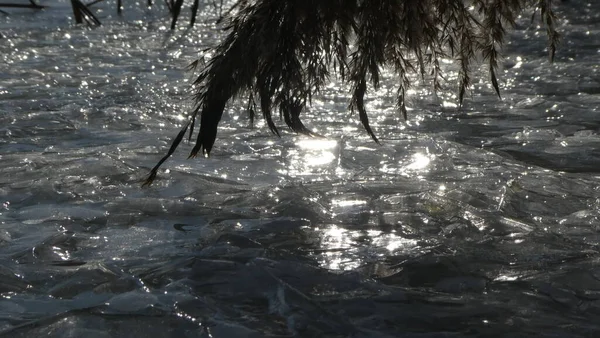 A ray of sunshine on the ice Ukraine