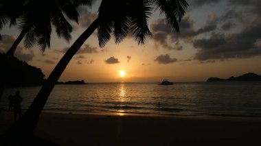 Sunset under the palm tree in the Seychelles