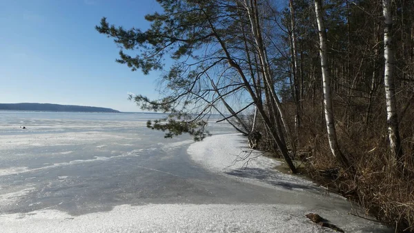 Ukrayna 'daki Dnipro Nehri' ndeki buz sırtları ve ormanlar