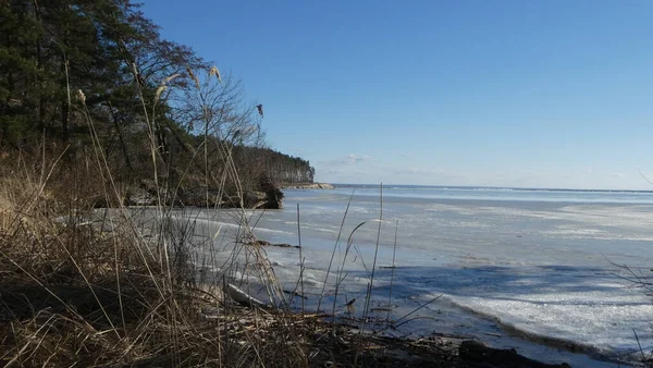 Kış Ormanı ve Dnipro Nehri Ukrayna