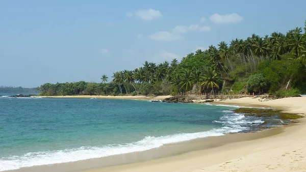 Körfezde sahil, palmiye ağaçları, Sri Lanka