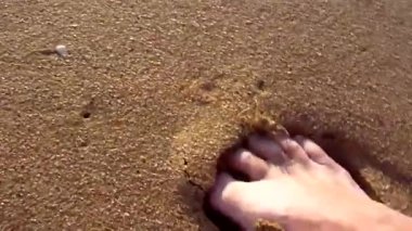 Hermit crab running away hiding under the foot, Sri Lanka