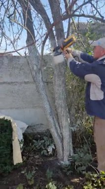 Elektrikli sprey tabancayla ağaçların beyazlatılması