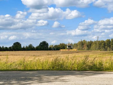 Güneşli bir günde traktör römorkuna dökerek tahıl hasadını birleştirmek. Tarım sektörü.