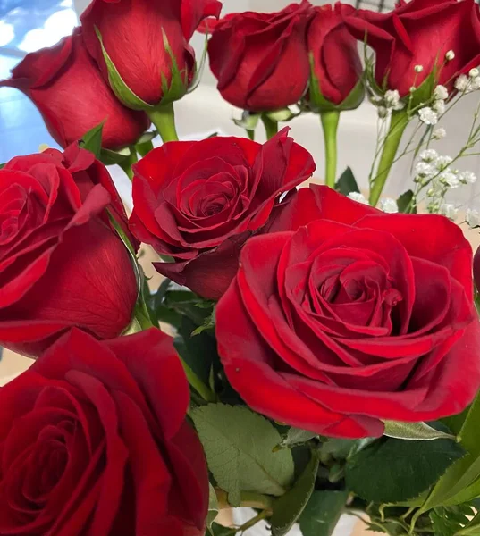 Gift Red roses bouquet 