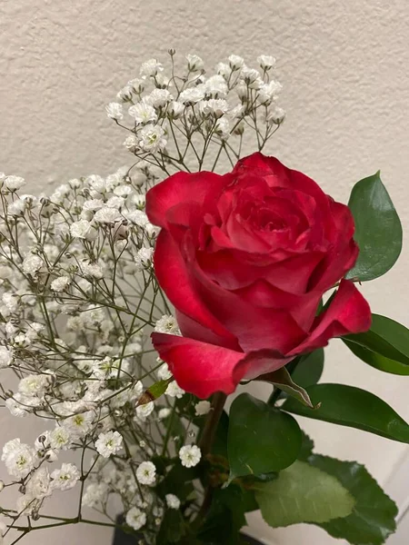 güzel kırmızı gül buketi 