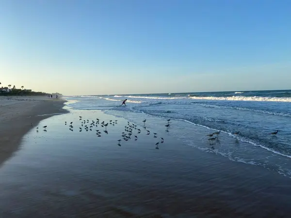 Beach skyline blue water 