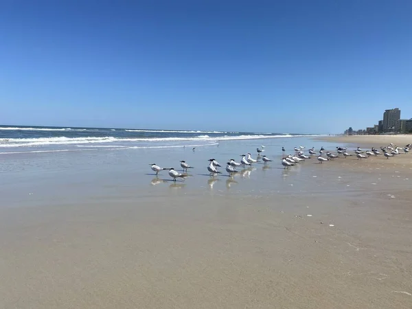 Beach skyline blue water 