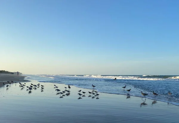 Beach skyline blue water 