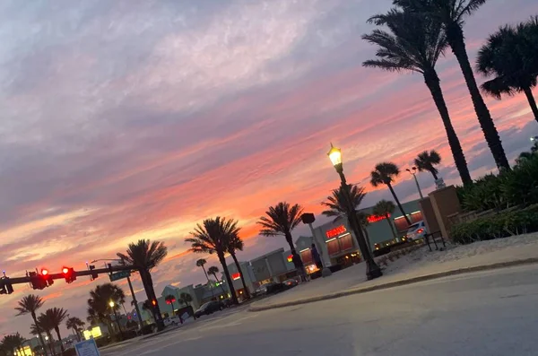 palmiye ağaçları ile günbatımı 