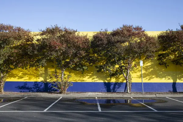 Tegen Een Levendige Gele Stadsmuur Staan Herfstbomen Hoog Tonen Schoonheid — Stockfoto