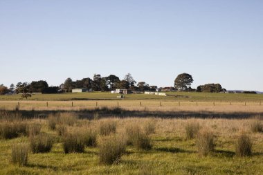 Mülkün sınırında bulunan tarım kulübesi ve su deposu işlevsel özellikler olarak hizmet vermektedir..