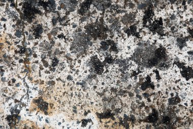 Sert taş, granit ve çimento elementlerini birleştiren desenli yüzey benzersiz bir görsel cazibe yaratır..