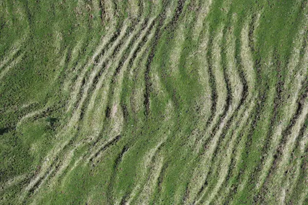 Açık otlaklardaki tepelerin hava perspektifi doğal manzaranın güzelliğini gözler önüne seriyor..