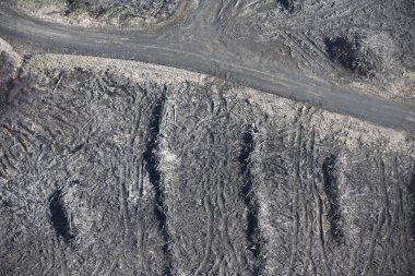 Ormancılık artıklarının sıralı perspektifi, kereste atığı sahnesini sunar.