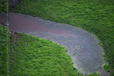 Ördeklerin bir su kütlesine iniş yapmaları, dingin ve doğal bir manzara yaratıyor..