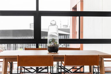 Teraryum modern bir şehir apartmanının içini genişleterek kentsel yaşama biraz doğa katıyor..