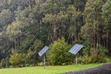 Kalın yaprakların arasında, iki güneş paneli, güneşin enerjisinden verimli bir şekilde yararlanarak, uzun duruyor..