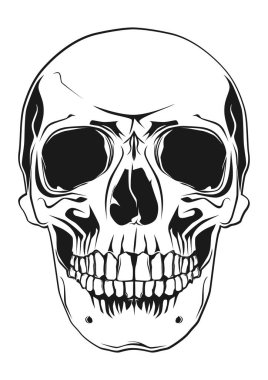Front view of a human skull. Easy to use vector asset.