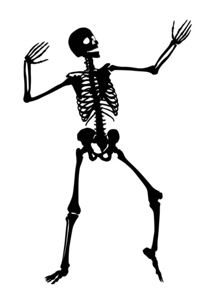 Silhouette Squelette Dansant Fête Halloween Vecteur — Image vectorielle